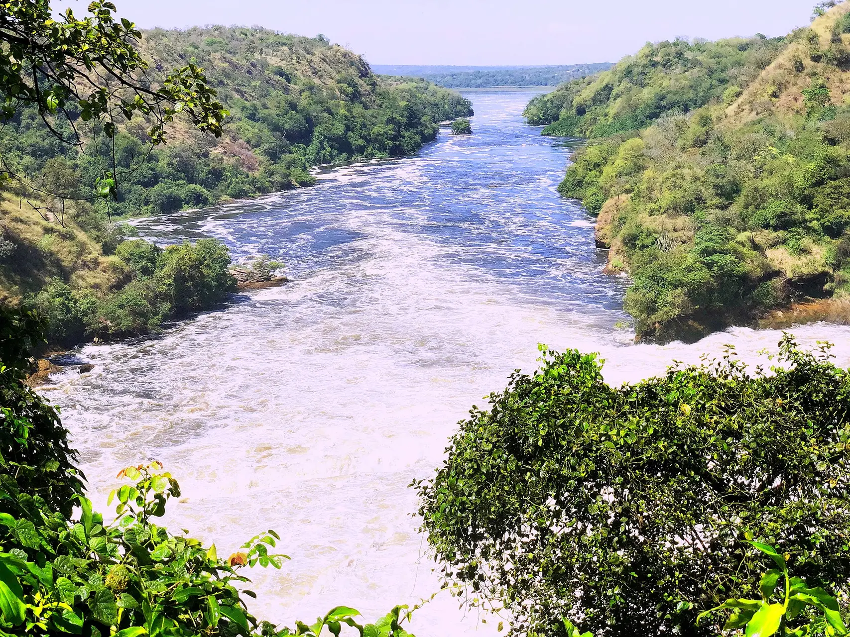 The Nile flowing through steep green banks above Murchison Falls in Uganda